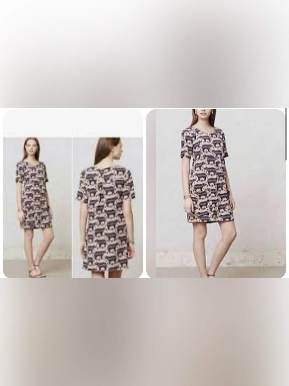 Maeve Zola Bear Print Shift dress by anthologie
Size 4